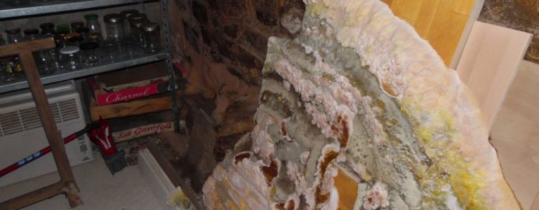 Merule massive en cave avec fructifications - degats traites par ACO-Habitat en Mayenne