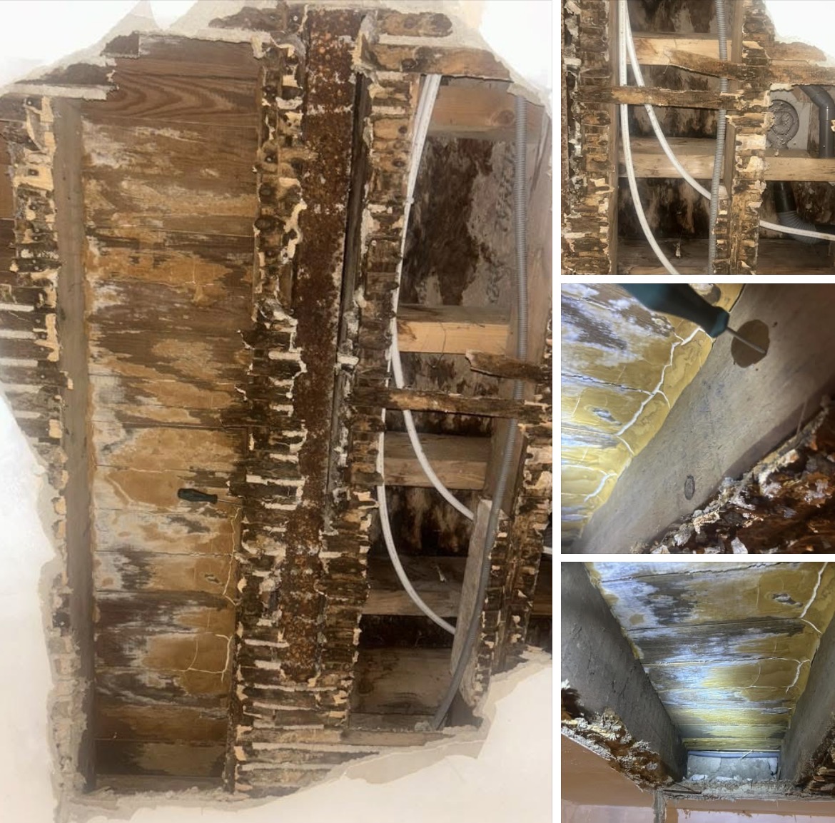 Charpente et plancher detruits par la merule - chantier ACO-Habitat